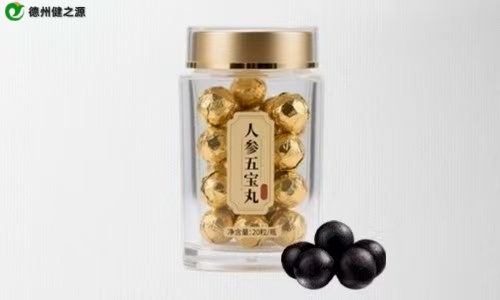 藥食同源大蜜丸代加工生產(chǎn)前提-德州健之源