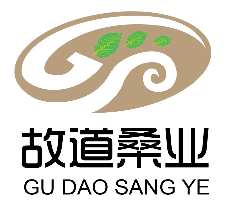 喝茶就可以防脫生發(fā)，太神奇了！桑葉養(yǎng)生茶