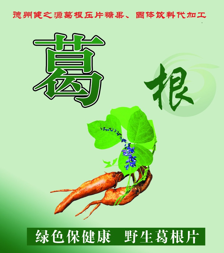 葛根，男女通用的人體調(diào)理專家