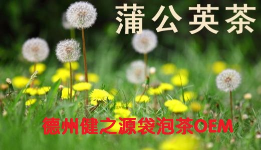 蒲公英茶，今天您喝了嗎？